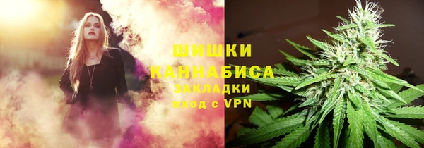 твердый Алзамай