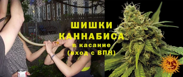 твердый Алзамай