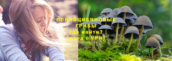 твердый Алзамай
